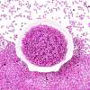 8/0 Inside Colours Transparent Glass Seed Beads SEED-T007-06J-1