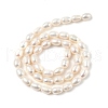 Natural Cultured Freshwater Pearl Beads Strands PEAR-I007-01C-06A-3