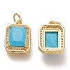 Brass Glass Charms ZIRC-F116-09D-G-2