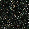 Spray Painted Glass Seed Beads SEED-F005-10A-02-3
