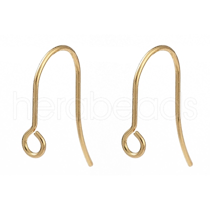 316 Surgical Stainless Steel Earring Hooks X-STAS-P162-13G-B01-1