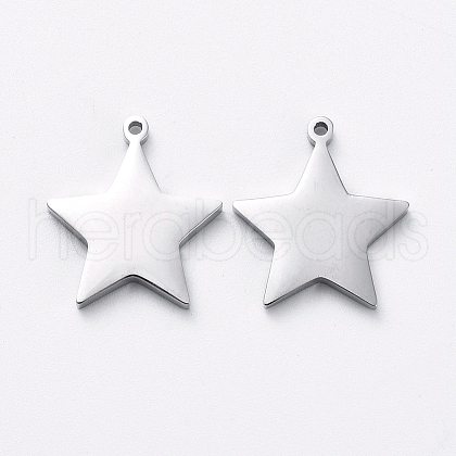 304 Stainless Steel Charms STAS-G215-16-P01-1