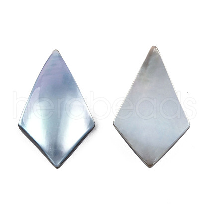 Natural Turbo Cornulus/Top Shells Cabochons SSHEL-N003-154-1