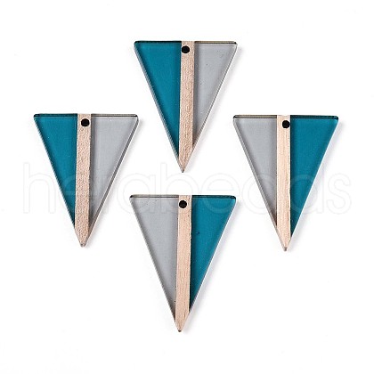 Transparent Resin & Wood Pendants RESI-T057-60A-1