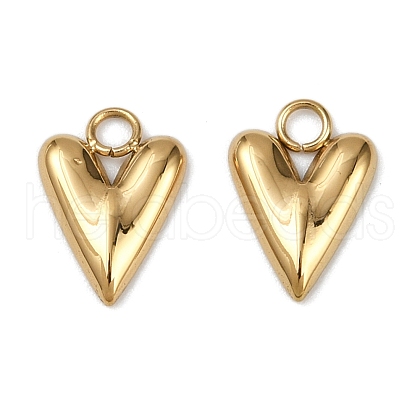 304 Stainless Steel Charms STAS-R170-01G-04-1