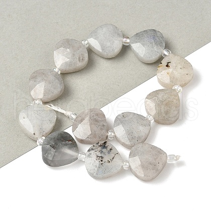 Natural Labradorite Beads Strands G-D316-A17-1