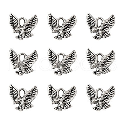 Tibetan Style Alloy Pendants X1-TIBEP-20305-AS-NR-1