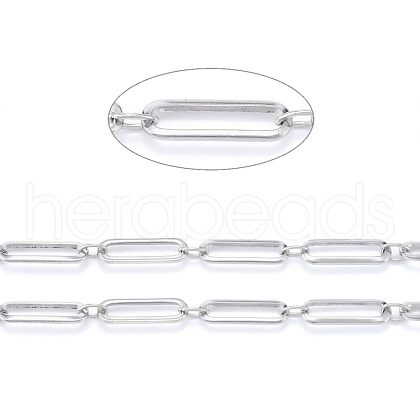 Tarnish Resistant 304 Stainless Steel Paperclip Chains CHS-F011-09A-P-1