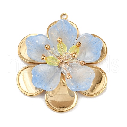 304 Stainless Steel and Acrylic and Plastic Pendants STAS-R170-04G-04-1