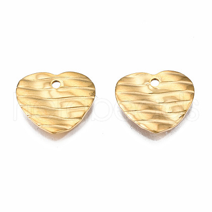 304 Stainless Steel Charms STAS-S080-055G-NR-1