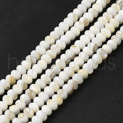 Natural Freshwater Shell Beads Strands BSHE-E026-15A-01-1