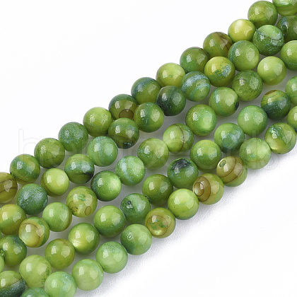 Freshwater Shell Beads Strands SHEL-S276-32D-1