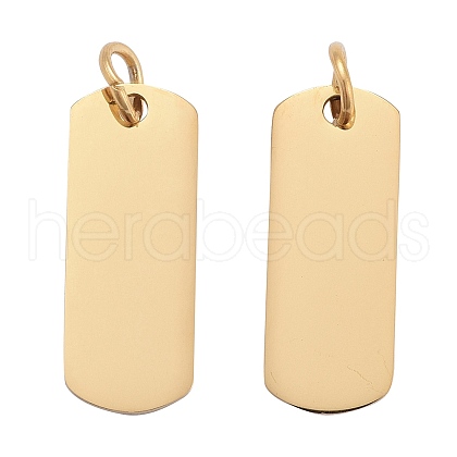 304 Stainless Steel Pendants STAS-I311-30G-1