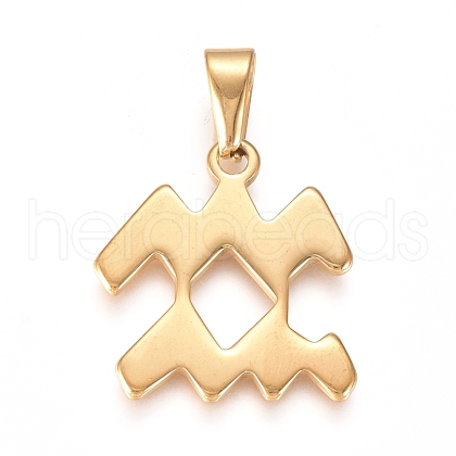 304 Stainless Steel Pendants STAS-L210-06L-G-01-1