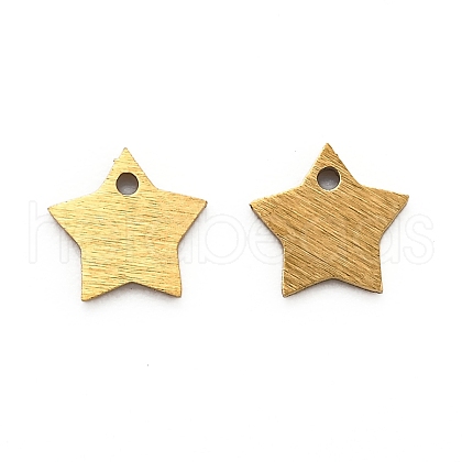 Ion Plating(IP) 304 Stainless Steel Pendants STAS-O133-03H-G-1