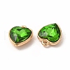 Faceted Glass Rhinestone Pendants GLAA-I051-B09-3