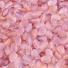 Frosted Glass Seed Beads SEED-N008-05C-3