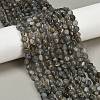 Natural Labradorite Beads Strands G-Q060-B02-1