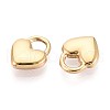 304 Stainless Steel Charms STAS-N109-194G-2