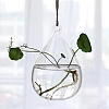 Mother's Day Hanging Glass Plants Planters PW-WG28732-03-1