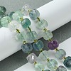 Natural Fluorite Beads Strands G-Q010-A12-01-2