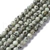 Natural Sesame Jasper/Kiwi Jasper Bead Strands G-R345-6mm-12-1