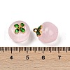 Transparent Glass Apple Pendants X1-DGLA-E004-16J-3