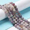 Natural Plum Blossom Tourmaline Beads Strands G-I355-01A-02-2