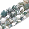 Natural Tree Agate Beads Strands G-S332-12mm-010-2