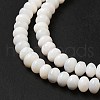 Natural Freshwater Shell Beads Strands BSHE-E026-15A-02-4