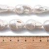 Natural Nucleated Pear Beads Strands PEAR-B004-15H-01A-5