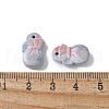 Natural Rainbow Alashan Agate Pendants G-G194-07B-3