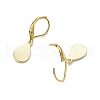 201 Stainless Steel Teardrop Leverback Earring EJEW-JE06396-4
