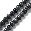 Natura Hawk's Eye Beads Strands G-D0001-22B-8mm-01-1