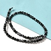 Natural Snowflake Obsidian Beads Strands G-G085-B37-02-2