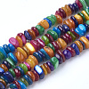 Natural Freshwater Shell Beads Strands X-SHEL-Q008-96-1