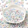Opaque Colours Luster Glass Seed Beads SEED-B001-01A-06-2
