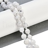 Natural Rainbow Moonstone Beads Strands G-G182-B29-03-1