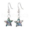 Natural Abalone Shell/Paua Shell Dangle Earring EJEW-JE05915-3