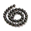 Shell Pearl Bead Strands X-BSHE-L025-05-10mm-5