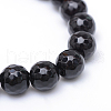Glass Beads Strands G-R346-6mm-03-01-2
