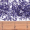 MIYUKI Delica Beads SEED-X0054-DB0609-4