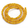 Natural Freshwater Shell Beads Strands SHEL-S278-066B-2