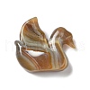 Natural Brazilian Agate Display Decorations DJEW-A008-07-2