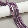 Natural Lepidolite/Purple Mica Stone Beads Strands G-F792-B01-1