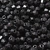 Baking Paint Glass Seed Beads SEED-A032-02A-12-3