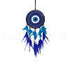 Iron & Woven Web/Net with Feather Pendant Decorations PW-WG71031-01-4