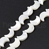 Natural Trochid Shell/Trochus Shell Beads Strands SSHEL-N032-25A-2