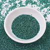 MIYUKI Delica Beads X-SEED-J020-DB0919-2