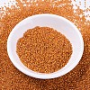 MIYUKI Delica Beads SEED-J020-DB0681-2